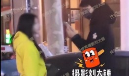 刘大锤近期爆料事件视频,揭秘事件背后惊人真相